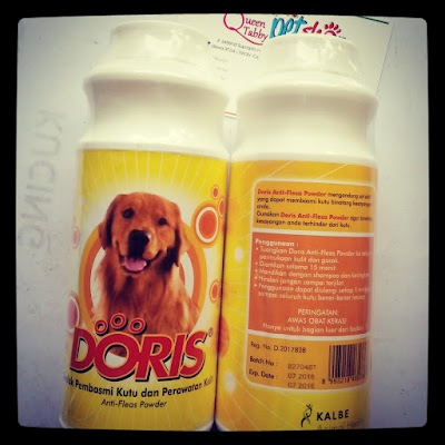 Photos of QUEEN TABBY PETSHOP AND DOKTER HEWAN 3