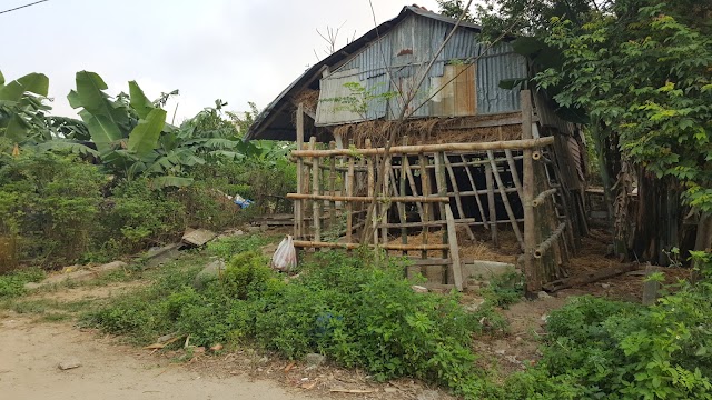 Bonsai Homestay
