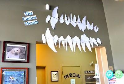 Photos of Bow Bottom Veterinary Hospital