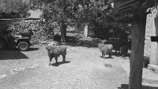 La Ferme Pédagogique