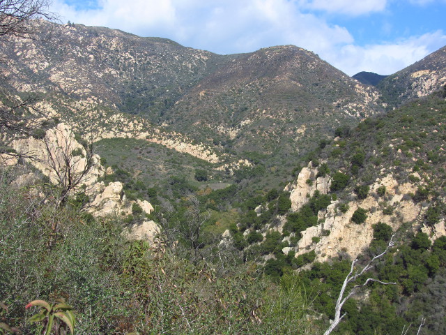 looking up the canyon to Tin Can Meadow