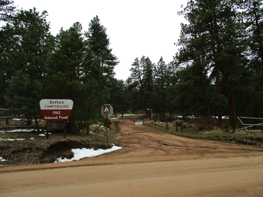 Forest Rd 550, Pine, CO 80470, USA