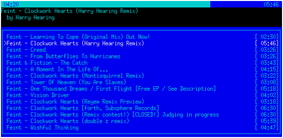 Screenshot showing ncurses user interface