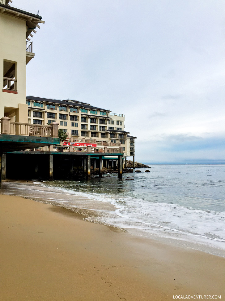 Monterey Bay Things to Do: Adventures by the Sea.