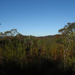 View over the Salvation Loop hanging swamp (155158)