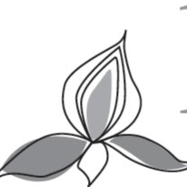 Lotus Day Spa & Salon logo