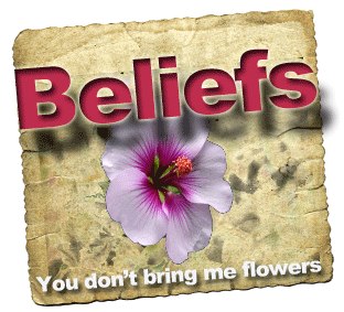 Beliefs You Dont Bring Me Flowers