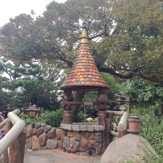 tokyo disneyland wishing well