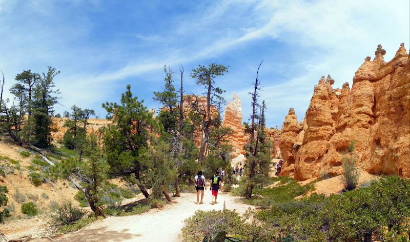 DIA-9. BRYCE CANYON. Paseando entre Hoodoos. - Los fascinantes parques del oeste americano. (6)