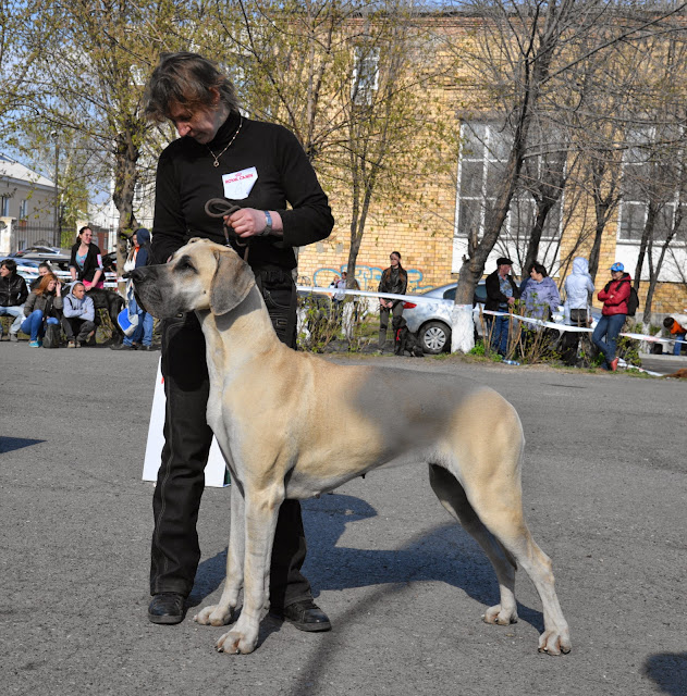 Кубок Аризоны-14(ПК)+ЧРКФ, Красноярск, 27 апреля 2014 DSC_5894