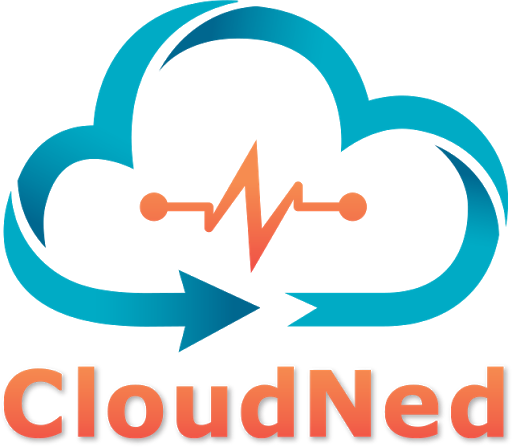 CloudNed logo