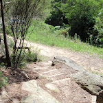 Stairs at the bottom of Lindfield Park bush track (125842)