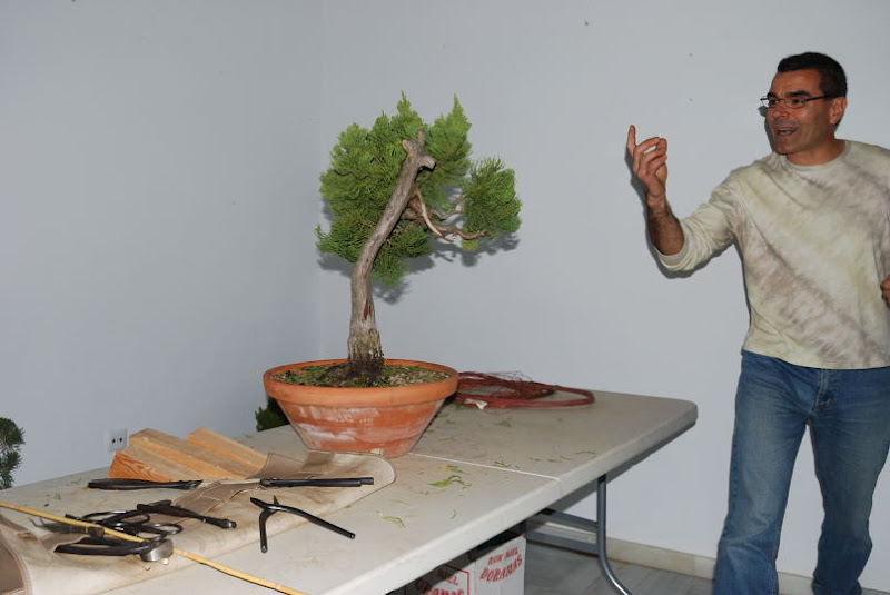 XI Exposición Invernal de bonsai de la A.S.B. Chokkan 122%252520XI%252520Exp.Inv.%252520ASBC%25252020111202%252520070