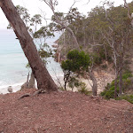 Track behind Barmouth Beach (108163)