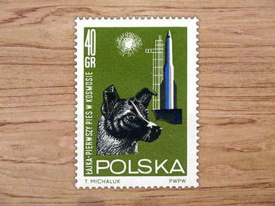 <b>País:</b> Polonia   <b>Año:</b> 1964