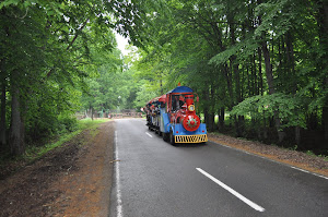 27-29 мая белорусская бойня