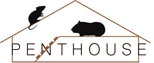 Pethouse Geiger logo