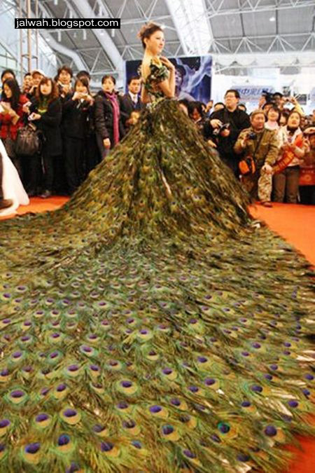JALWAH: Peacock Feathers Wedding Ceremony Wear