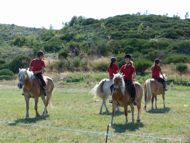 Fête du Haflinger les 16 et 17 aout 2013 a Ajoux (07) P1170201%2520%25281024x768%2529