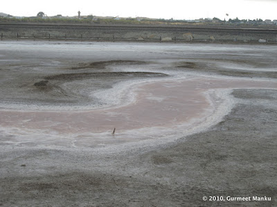 2010-08-01 Alviso Marina County Park