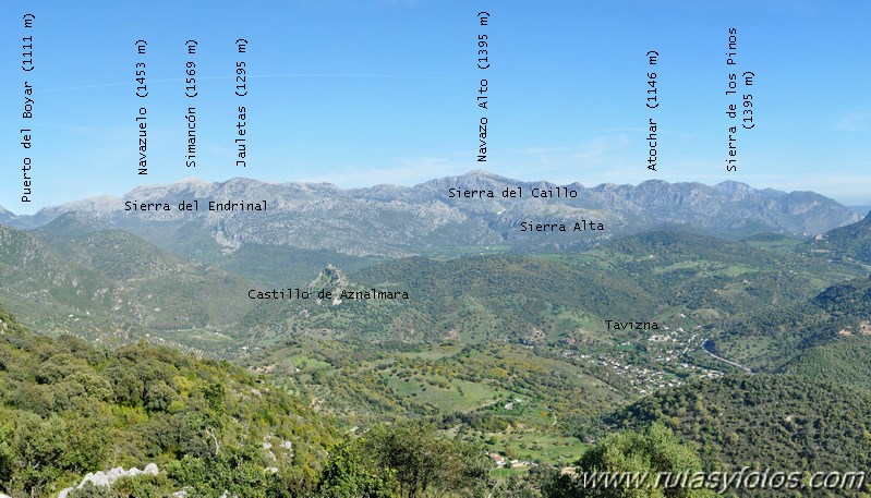 Cerros Albarracinejo-Peñuelas-Ponce-Albarracin y Alto del Puntal