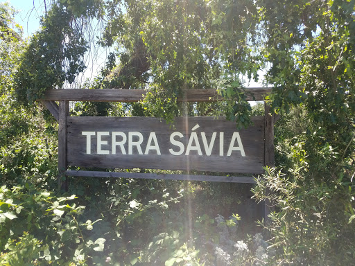 Winery «Terra Sávia», reviews and photos, 14160 Mountain House Rd, Hopland, CA 95449, USA
