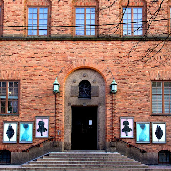 Röhsska museet 365