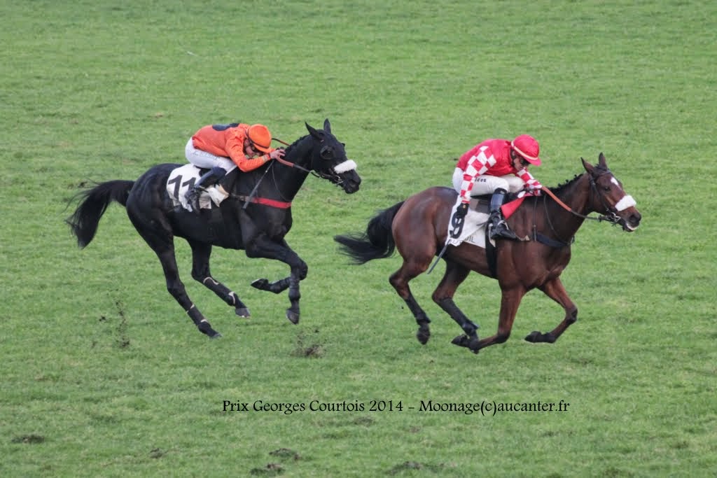 Photos Auteuil 23-11-2014  - Page 2 IMG_6322