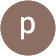 persia falcon persia falcon