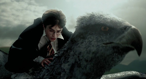 Buckbeak Harry Potter