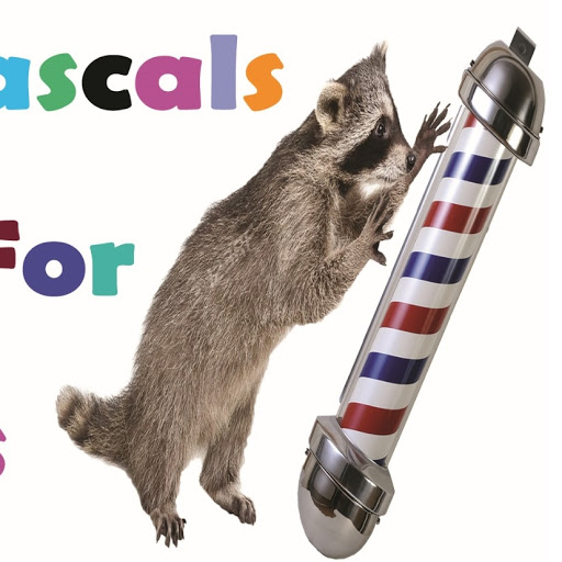 Lil' Rascals Cuts For Kids logo