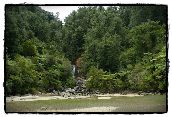 Abel Tasman NP - Te Wai Pounamu, verde y azul (Nueva Zelanda isla Sur) (3)
