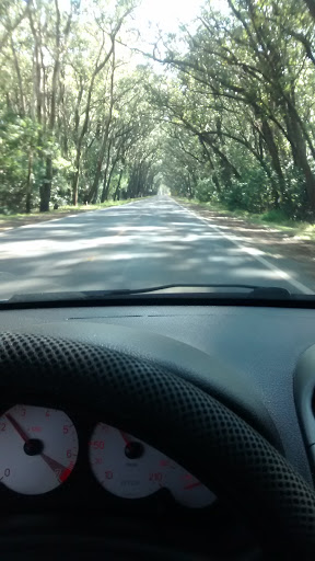 Abelhas, Balneário Pinhal, RS, 95599-000, Brasil, Atração_Turística, estado Rio Grande do Sul