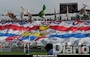 LEÕES DA T.U.F (TORCIDA UNIFORMIZADA DO FORTALEZA)