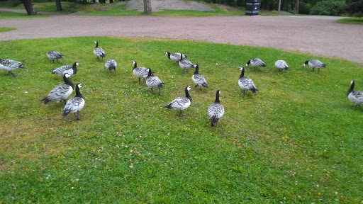 Sibeliusparken