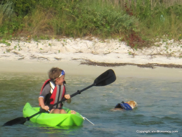kayak