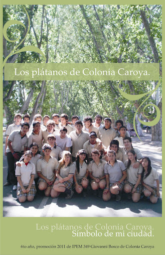 Platanos de Colonia Caroya - IPEM 349