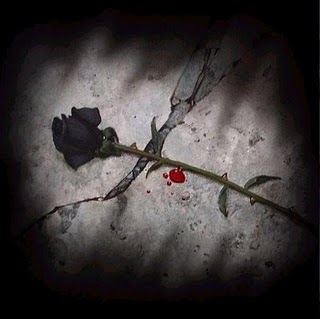 A morte de uma rosa