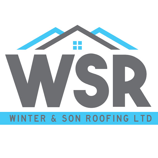 Winter And Son Roofing logo