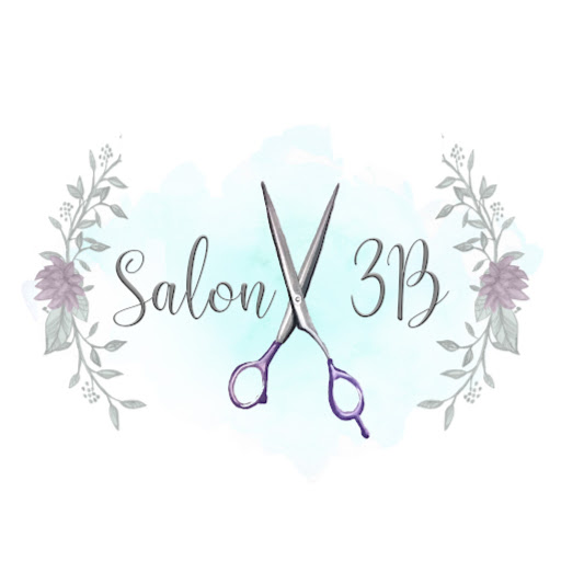 Salon 3B