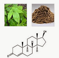 EPIMEDIUM LEAF EXTRACT EPIMEDIUM SAGITTATUM EPIMEDIUM LEAF EXTRACT EPIMEDIUM SAGITTATUM