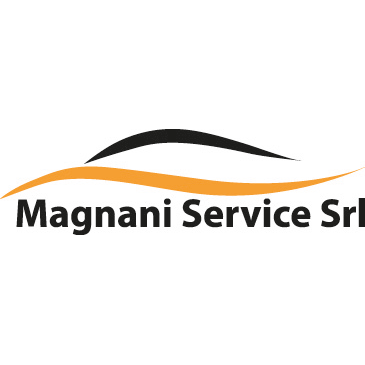 Magnani Service logo