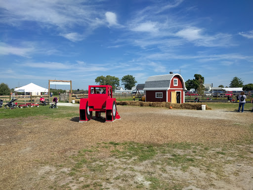 Orchard «Tuttle Orchards», reviews and photos, 5717 N 300 W, Greenfield, IN 46140, USA