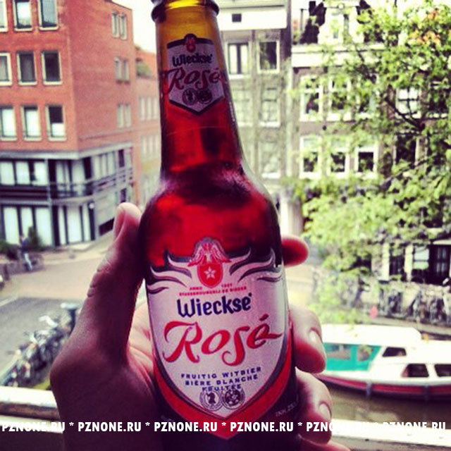 Wieckse Rose