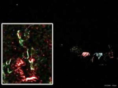 Cseti Greer Claim 1St Photograph Of Extraterrestrial