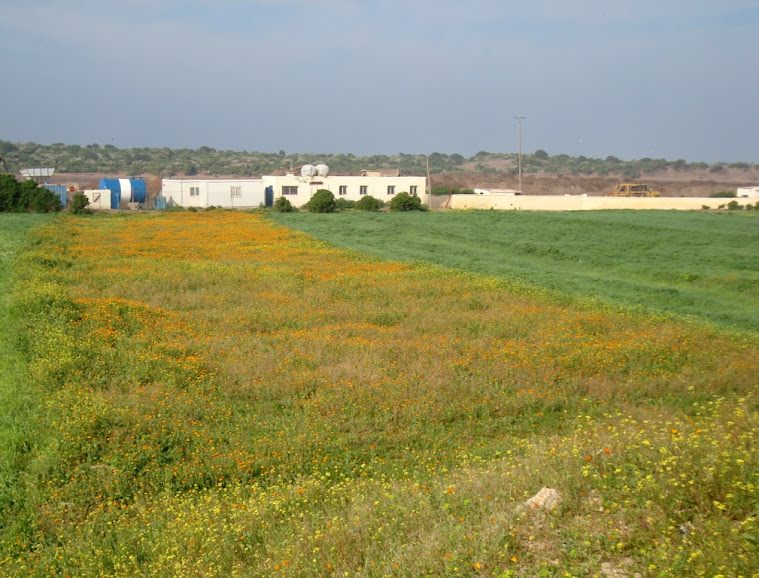 18 janvier - Azemmour et le panorama Marche+18.01.2011+006