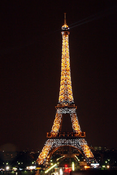 Sortie Tour Eiffel sous la pluie - 19 Déc 2012 - Page 2 PC191578