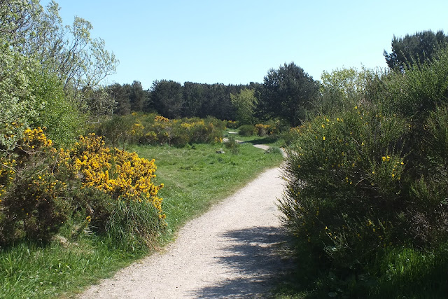 Views from Kincorth Hill