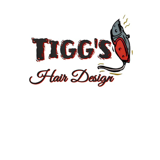 Tigg's Hair Design