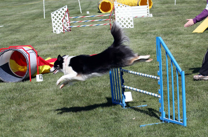 Agility